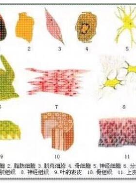 科研绘图封面信号通路医学SCI作图插画 机制图TOC摘要图画图