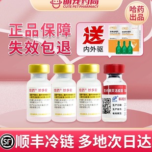 哈药妙多安猫三联猫咪疫苗妙三多国产幼猫宠物自打套餐预防