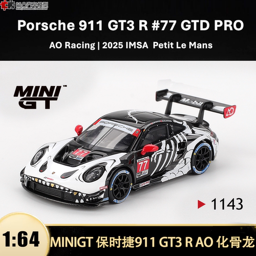 保时捷911GT3RAO赛车骷髅龙模型
