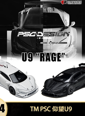 仰望U9 RAGE 概念GT赛车 PSC TM 1:64 CDM 仿真合金汽车模型收藏