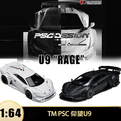仰望U9概念版GT赛汽车模型RAGE