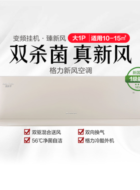 格力·臻新风冷暖大1匹1级挂机空调 KFR-26GW(26537)FNhCb-B1
