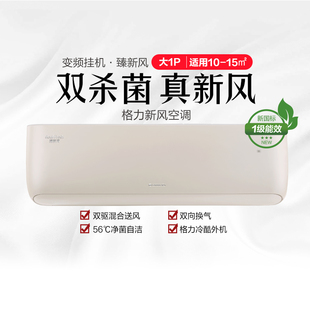 FNhCb 格力·臻新风冷暖大1匹1级挂机空调 26537 26GW KFR
