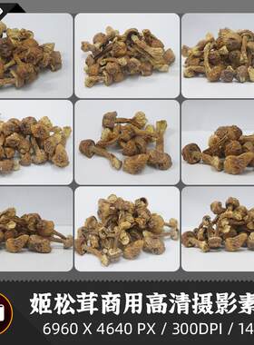 姬松茸干货鸡松耸食用菌商用300DPI原创摄影印刷设计JPG白底素材