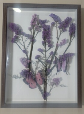 手工装饰画16寸diy蝴蝶干花相框摆台挂画客厅装饰