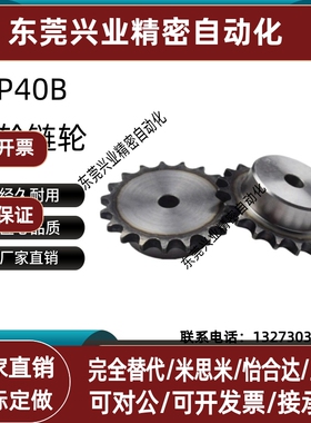 齿轮链轮SP40B9 10 11 12 13 14 15 16 17 18 40B工业链条CHE40-U