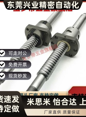 滚珠丝杆C-BSST/BSSR/BSSZ/BSSC1004 1210 2510 2005 2010 2020
