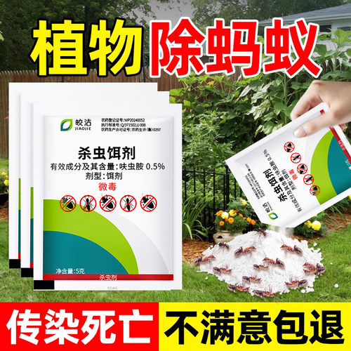 盆景花卉绿植树上盆栽花园植物果树防植物花盆灭除蚂蚁药里有蚂蚁