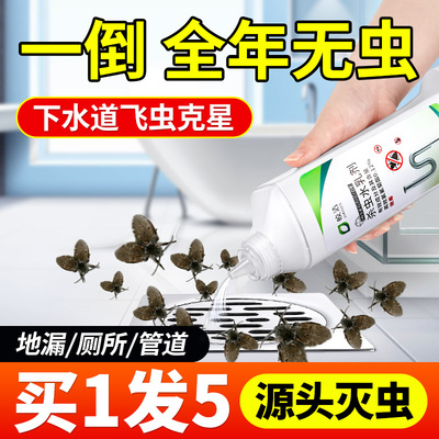 下水道小飞虫灭杀神器卫生间厕所管道专用除虫杀虫剂蛾蚋蠓防灭药