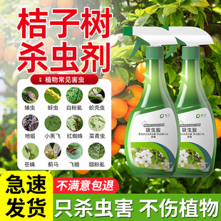 桔子树杀虫剂橘子年桔专用生虫桔树药治虫药金桔虫子用药金钱桔灭