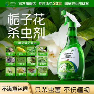 栀子花专用杀虫剂除虫驱虫打虫防虫药花卉绿植药盆栽蚜虫药花长虫