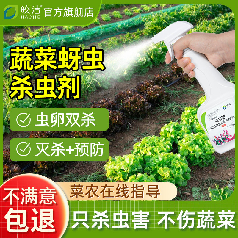 蔬菜蚜虫杀虫剂无毒菜地专用呋虫胺杀蜗牛菜虫阳台种菜植物打虫药