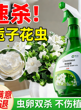 栀子花杀虫剂灭蓟马蚜虫红蜘蛛枝子花专用有虫子白粉虱去虫药驱除