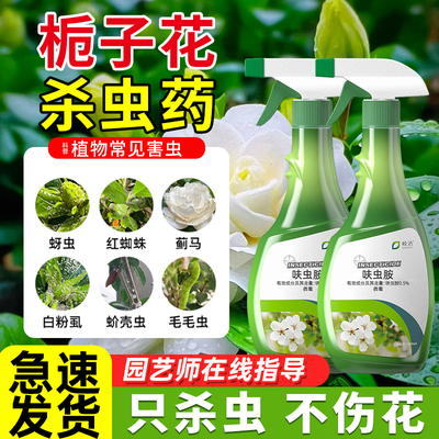 栀子花杀虫剂灭蓟马蚜虫红蜘蛛枝子花专用有虫子白粉虱去虫药驱除