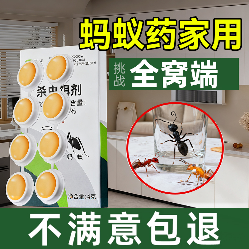 一只中毒传染死亡家庭蚂蚁全窝灭