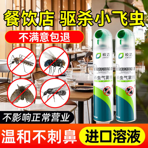 餐饮店小飞虫杀虫剂果蝇灭杀神器商用厨房专用喷雾驱蚊虫驱除神器