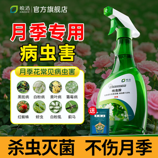 月季 花病虫害常用药白粉黄叶黑斑花卉杀虫剂专用红蜘蛛蚜虫防虫病
