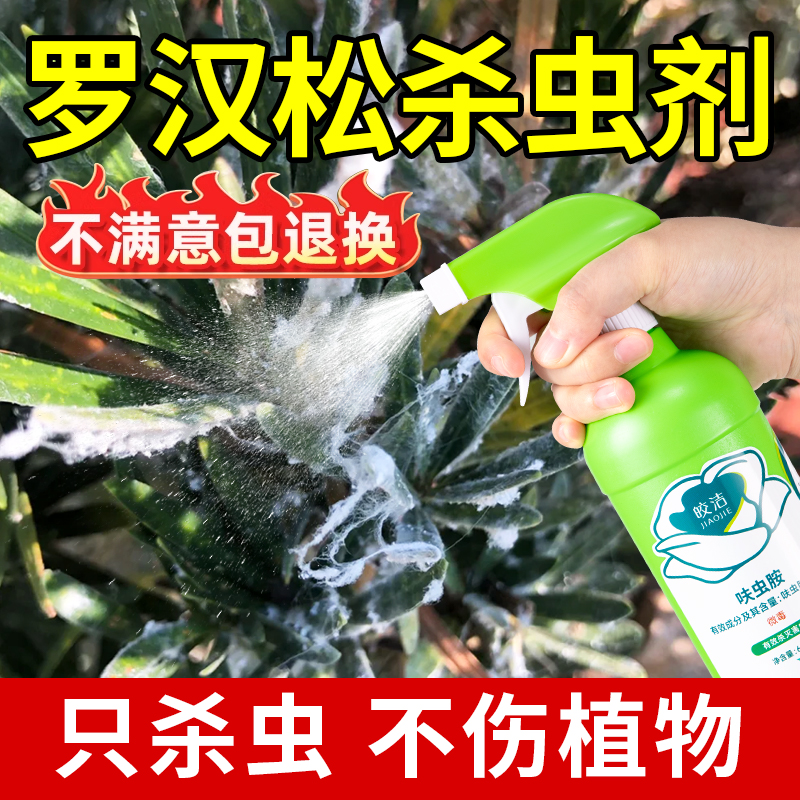 罗汉松杀虫剂菌药干黄叶枯枝红蜘蛛新叶蚜白粉黑斑病腐根蚧壳腻虫