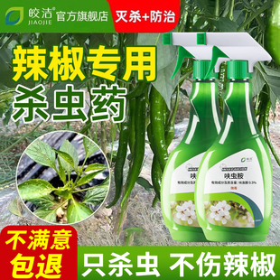 辣椒专用杀虫药打辣椒虫的药蚜虫除虫剂蔬菜辣椒苗杀虫剂虫病驱虫