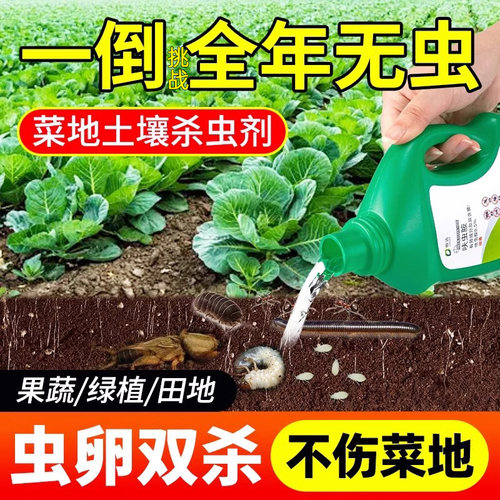 菜地土壤专用杀虫剂土里的虫子植物花盆蚂蚁药农用菜地杀菌驱虫药