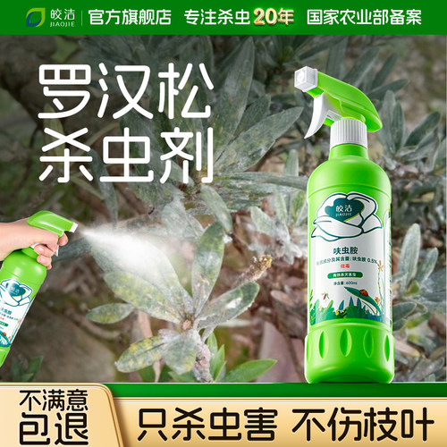 罗汉松杀虫剂专用罗汉松非白粉病叶枯蚧壳虫松树黑斑腐根黄叶花药