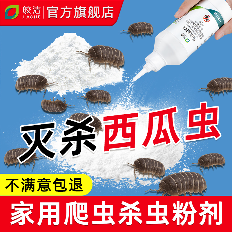 西瓜虫|鼠妇|潮虫|潮湿虫