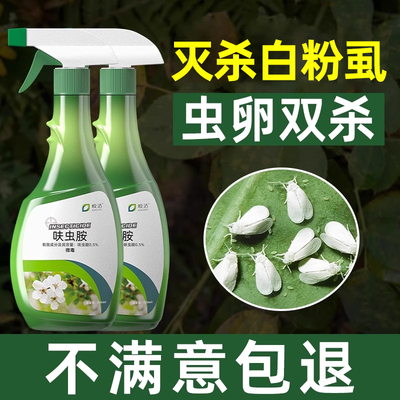白粉虱杀虫剂花药白粉虱花卉专用植物通用白飞虱病白娥药虫卵双杀