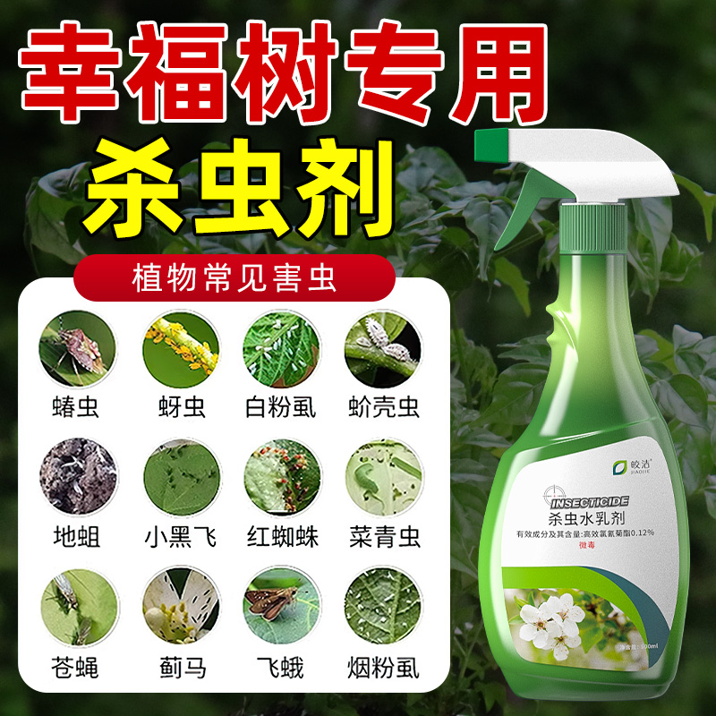 幸福树杀虫药介壳虫蚧壳虫蚜虫芽虫绿植杀虫剂花卉植物除虫专用药