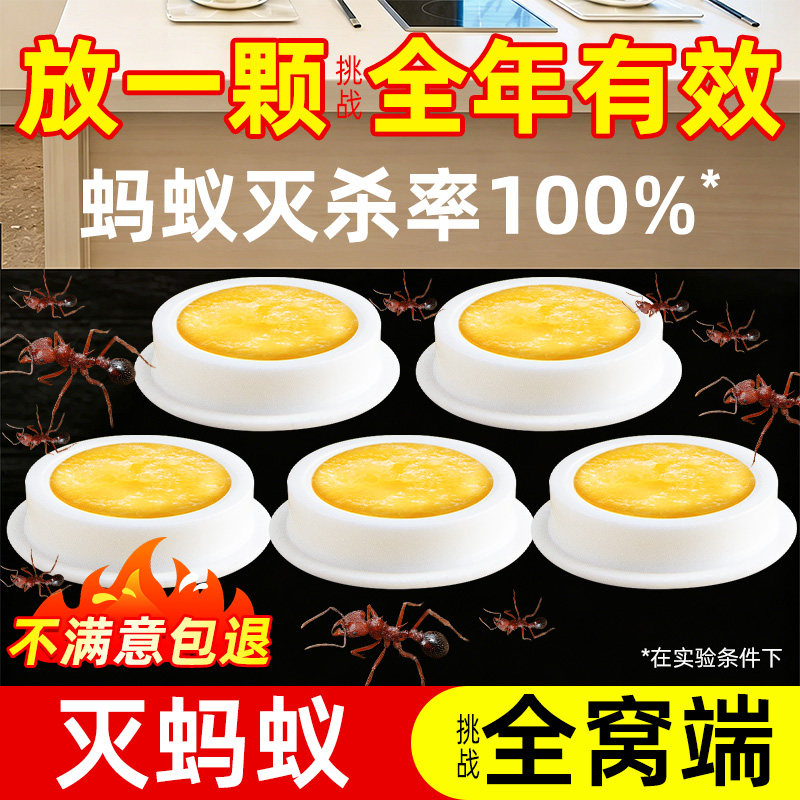杀蚂蚁饵剂传染死亡丨不满意包退