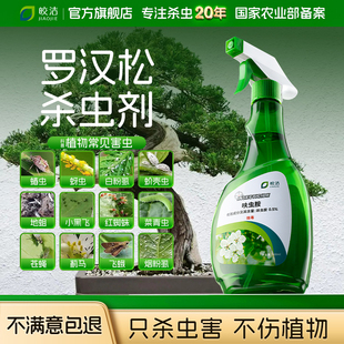 罗汉松杀虫剂白粉病药干黄叶枯枝专用红蜘蛛新叶黑斑病腐根蚧壳虫