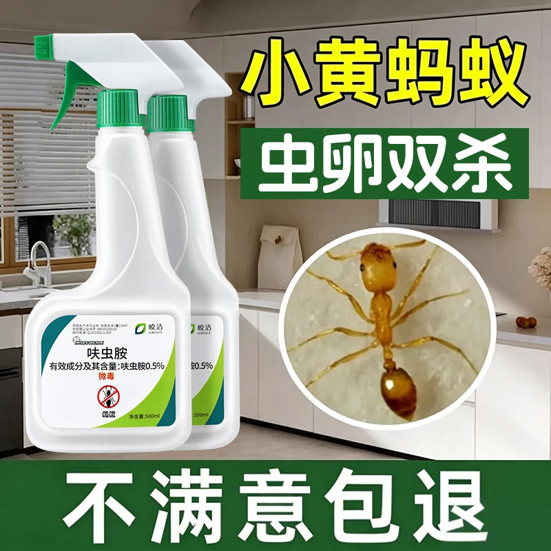 传染死亡挑战小黄蚂蚁全窝灭
