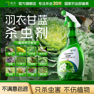 治羽衣甘蓝杀虫剂蚜虫专用甘蓝芽虫药喷雾卷叶虫杀蚧壳虫花卉植物