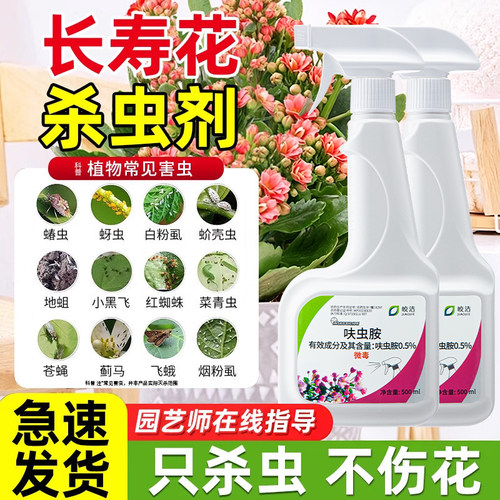 长寿花杀虫剂长虫蚜虫花卉植物盆栽除虫腻虫蜜虫蚧壳虫白粉虱通用