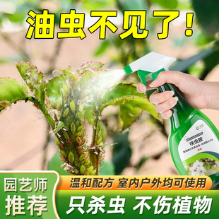 油虫药杀治打油虫的药灭除腻虫蜜虫蚜虫驱油汗虫药防油粘虫杀虫剂