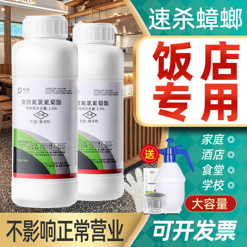 蟑螂药餐厅专用饭店商用高效灭蟑