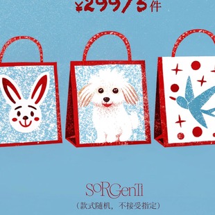 sorgenti年末限定好运福袋 手机壳发饰款式随机捡漏年终惊喜高级感