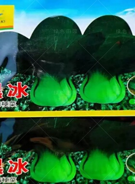 青硕黑冰青梗菜种子青菜籽耐热耐寒蔬菜基地菜园四季播种蔬菜种孑