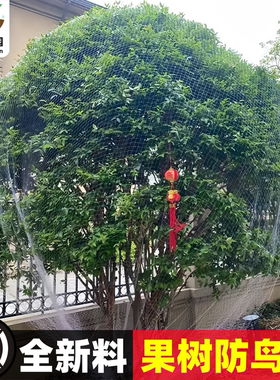尼龙防鸟网果树果园大棚防护网樱桃树葡萄树鱼塘养殖阳台防鸟神器