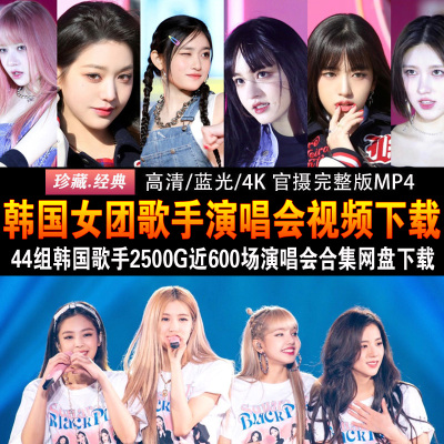 2500G 44位韩国女团歌手600场演唱会合集4K蓝光高清舞台现场MP4