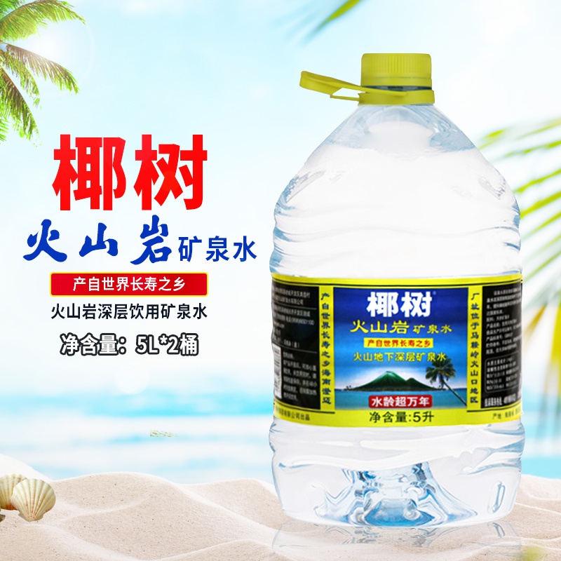 椰树火山岩天然矿泉水5l*2桶整箱 海南岛天然好水