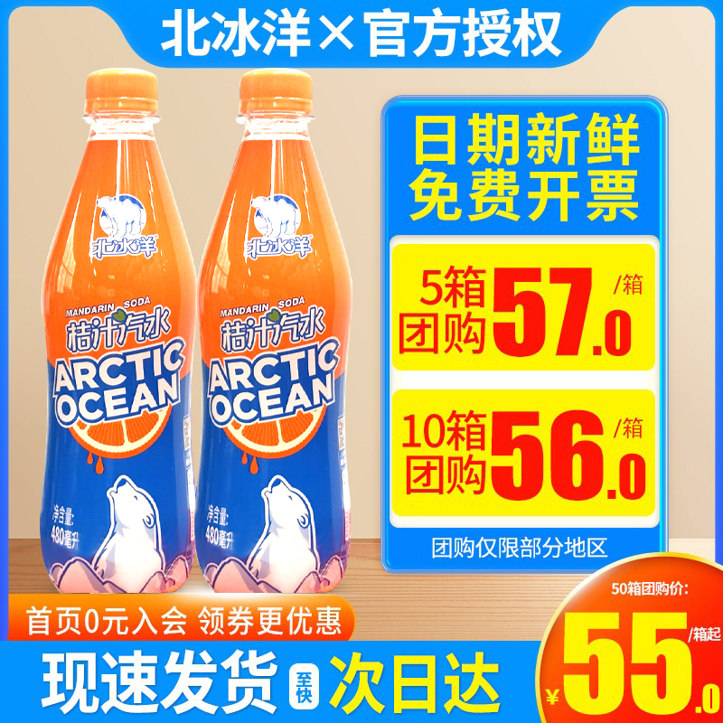 北冰洋桔汁汽水老北京汽水480ml