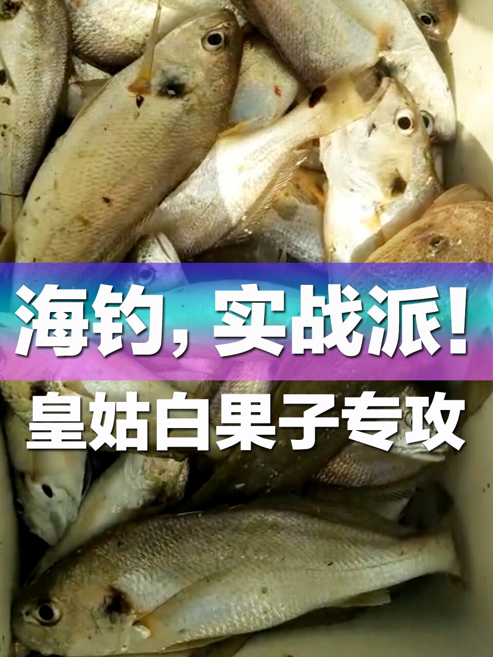 万流归宗 万流归宗价格 外围导购