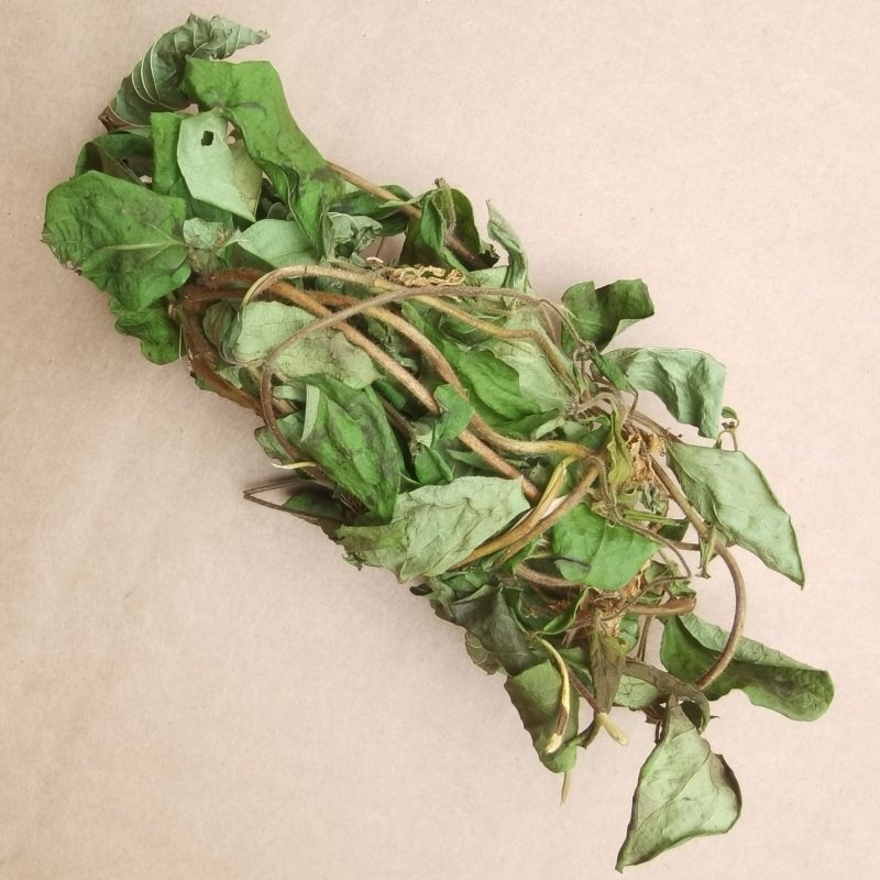 野生金银花藤宝宝洗澡专用忍冬藤婴儿泡澡去祛痱子新鲜晒干带叶