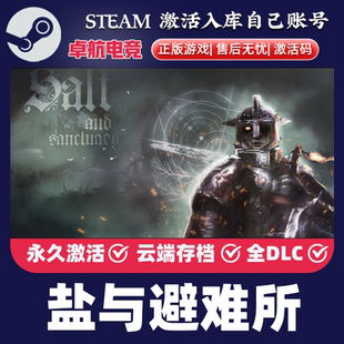 盐与避难所 正版Steam激活码CDKey入库 Salt and Sanctuary 全DLC