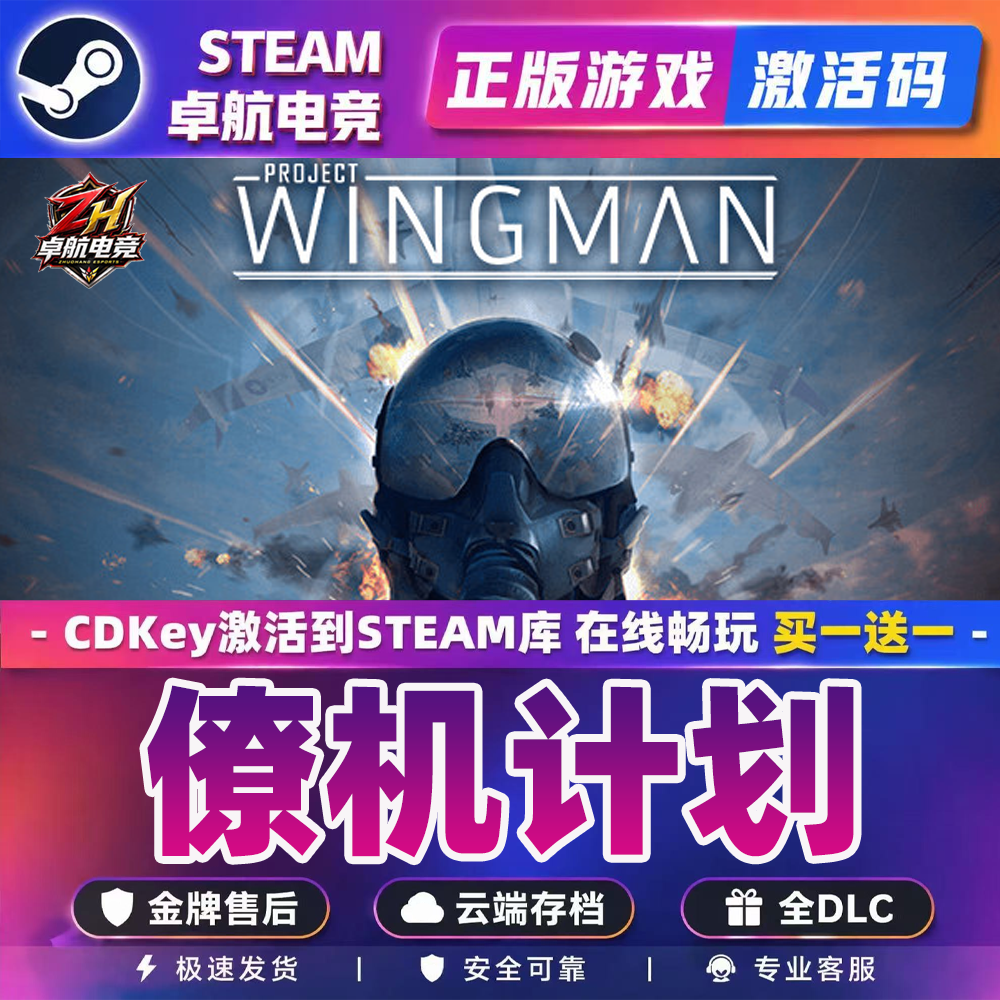 僚机计划 正版Steam激活码CDKey入库 Project Wingman 全DLC游戏
