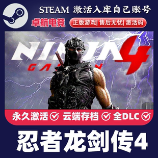 忍者龙剑传4 Steam游戏激活码CDKey入库国区全球区NINJA GAIDEN4