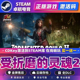 受折磨的灵魂2 正版Steam激活码CDKey入库 全DLC第三人称射击游戏