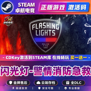 闪光灯- 警情消防急救 正版Steam激活码CDKey入库 全DLC模拟游戏