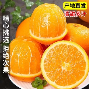 高山纽荷尔脐橙现摘现发当季湖北宜昌橙子新鲜9斤大果鲜果甜橙