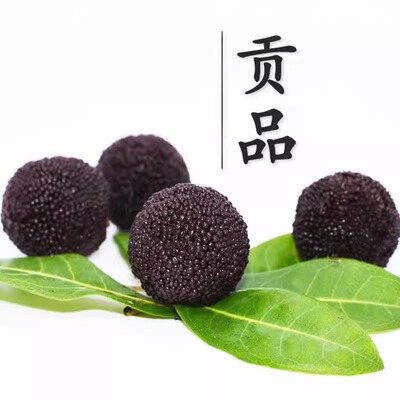 千里挑一新鲜杨梅顺丰冷链